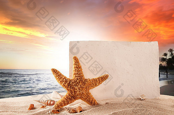 夏季海滩的概念，海星，贝壳和沙滩上的空纸