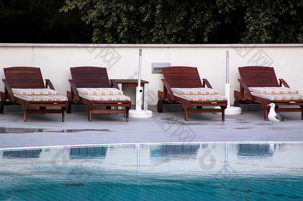 豪华假日酒店游泳池，海鸥独享美景。使用扶手、日光浴床和日光躺椅在游泳池附近放松。