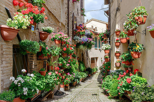 意大利翁布里亚斯佩洛镇的小街上鲜花盛开