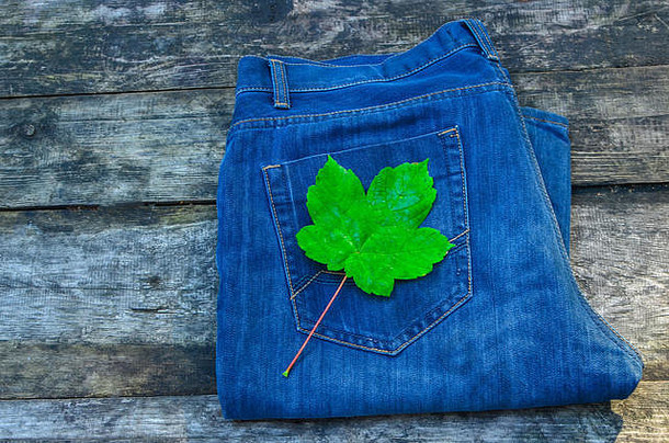 蓝色牛仔裤口袋背景上的绿色秋叶春叶