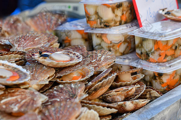 新鲜的扇贝海鲜市场迪耶普法国