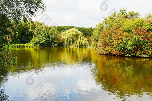 平水域小湖树灌木开始穿秋天颜色弱晚些时候夏天天空反映了