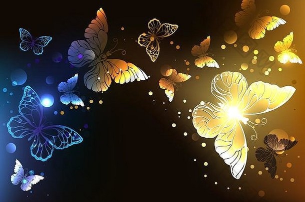 在黑暗的夜晚背景上，美丽的、发光的夜蝴蝶。