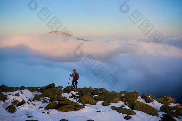背着背包和登山杖的游客徒步旅行的后视图，在美丽的雾谷背景下，在岩石山上徒步旅行，雾谷中弥漫着白色的浮云，雪白的山顶和早晨的蓝天。