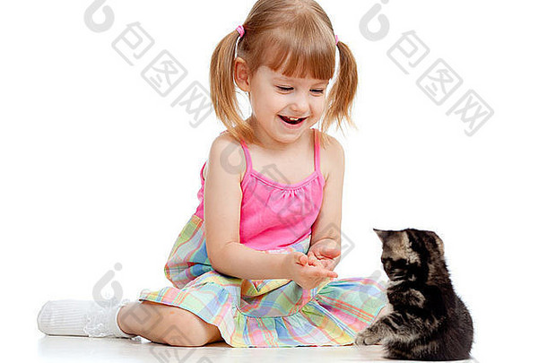 有趣的女孩玩苏格兰小猫