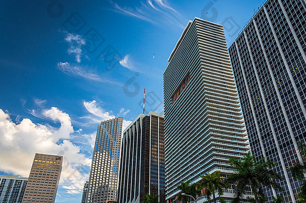 摩天大楼市中心迈阿密佛罗里达