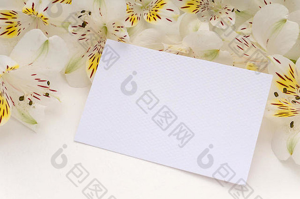 白色纹理纸贺卡，带有白色的alstroemeria花