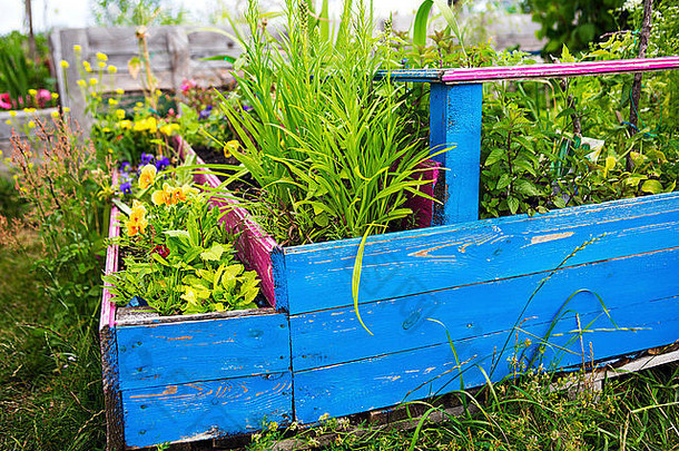 一个蓝色木箱里的花草园