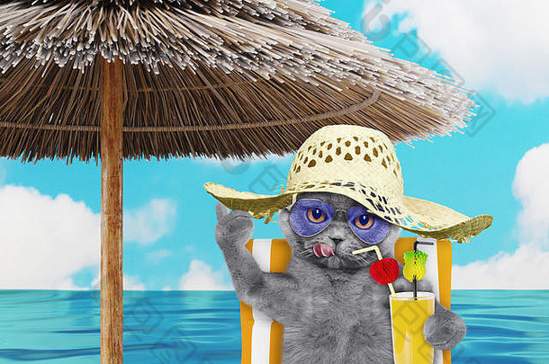 可爱的猫休息放松海滩椅子伞汁海滩海洋海岸夏天假期假期渲染