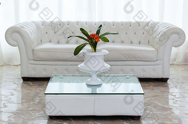 美丽的盆栽植物橙色花最小的表格白色舒适的沙发