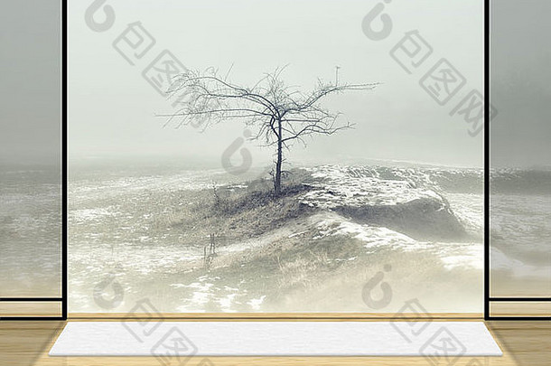 摄影棚摄影师的数字背景。禅宗室，雾中有一棵孤独的树。