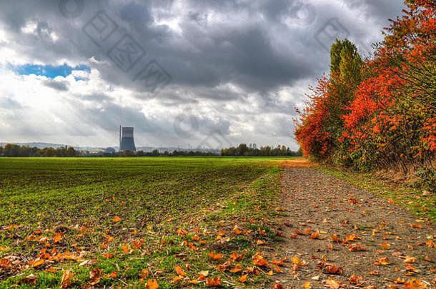 德国秋风大，多云的天空黄色的树叶从一条土路和农田附近的树上落下。在远处，n的烟囱