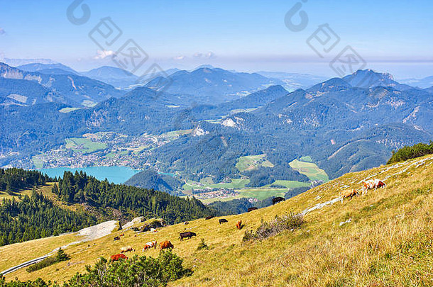 奥地利阿尔卑斯山景观