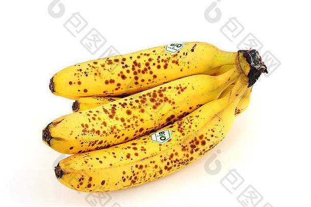 生物香蕉