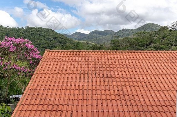 巴西里约热内卢Areal Petropolis地区，背景为大西洋森林的粘土瓦制成的大屋顶