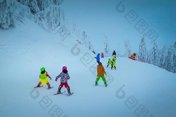雄伟的白雪覆盖的树木和冬季滑雪胜地。活跃的儿童滑雪者在罗马尼亚特兰西瓦尼亚颇受欢迎的波亚纳·布拉索夫滑雪胜地滑雪下山，欧洲