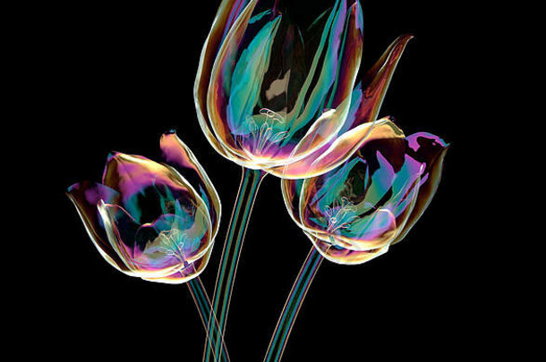 彩色玻璃花隔离在黑色，郁金香三维插图