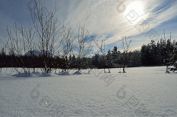 温暖的冬季阳光照射在雪白的田野和森林景观上