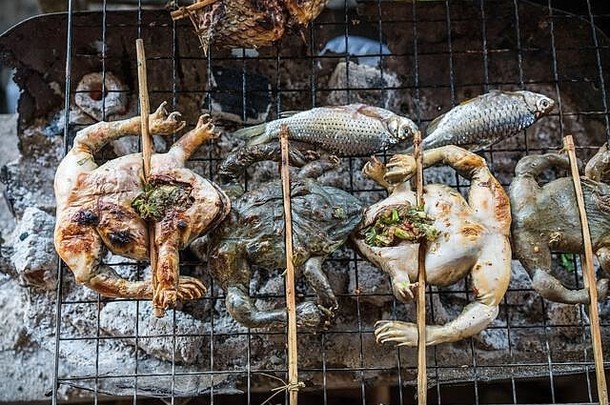 煮熟的青蛙老挝亚洲