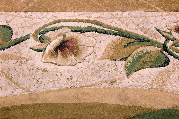 背景图片：地毯上有一朵花的部分。