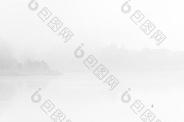 鸭子在浓雾中游过平静的湖面，黑白相间的美术作品