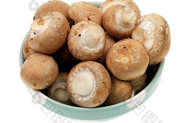 有机Portabello蘑菇