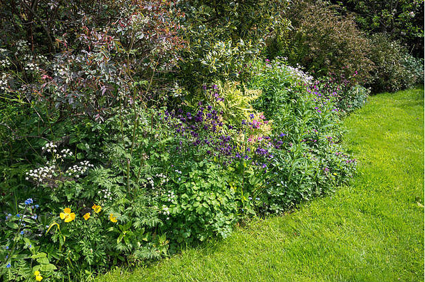 五月底的英国农舍花园，有大量非正式种植。
