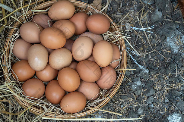 农民从农场收集鸡蛋后，将新鲜鸡蛋放在地上的篮子里。无毒食品的概念。