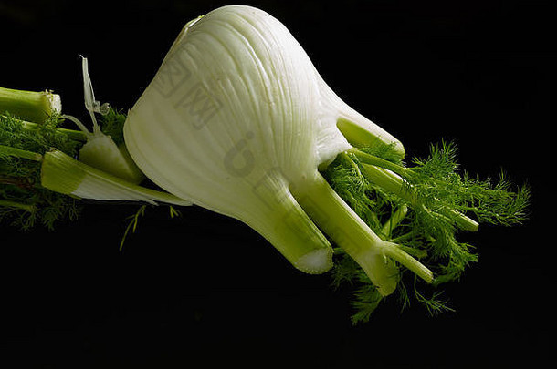 茴香球茎蔬菜食品静物照片