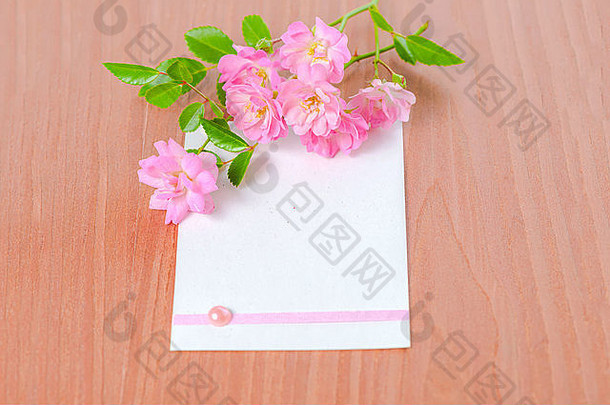 纸系丝带粉红色的玫瑰木背景特写镜头