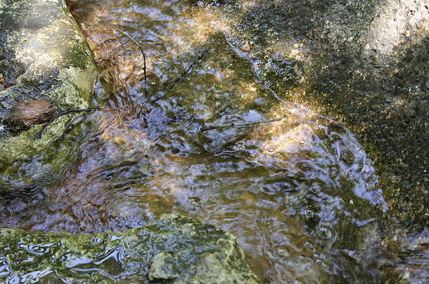 在一个阳光明媚的夏日，清凉的水在浅溪中的岩石和石头周围流动。