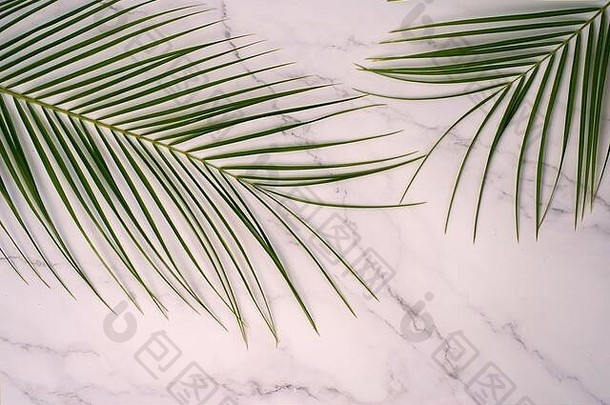 热带绿色棕榈叶粉红色的大理石背景平躺前视图复制空间文本夏天概念罗贝利尼分支