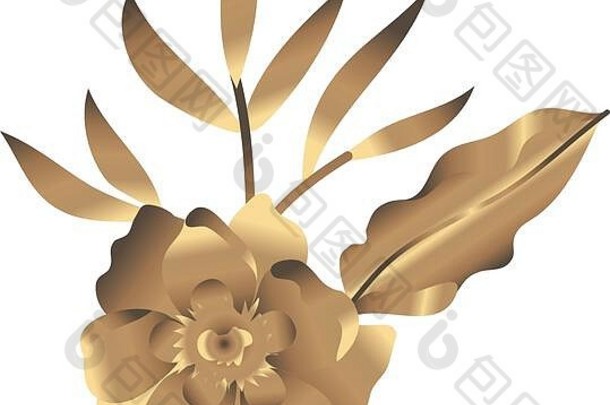 热带海龙花和异国情调的金色装饰