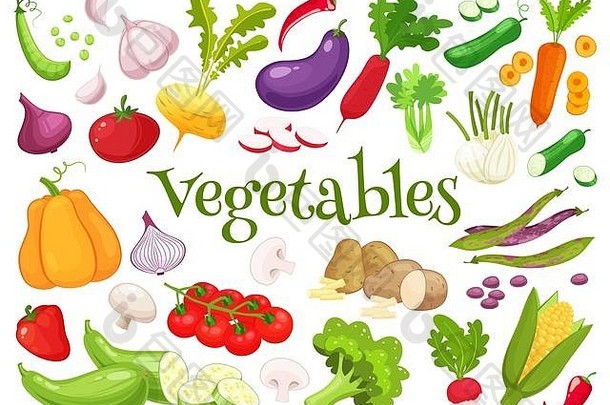 集新鲜的蔬菜设计