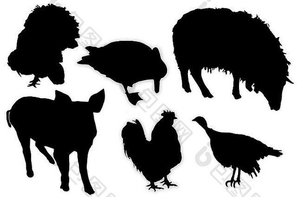 白色背景上家畜和鸟类的黑色剪影