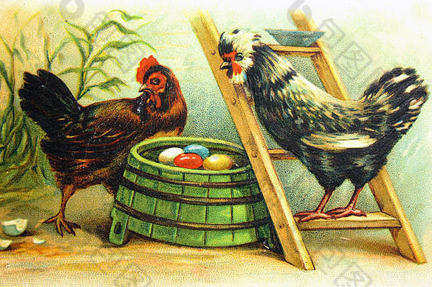 大约在1910年，在德国印制的明信片上，一只母鸡和一只公鸡在鸟巢附近孵着彩蛋