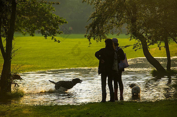闪光洪水伦敦创建池玻璃钢狗玩伦敦公园