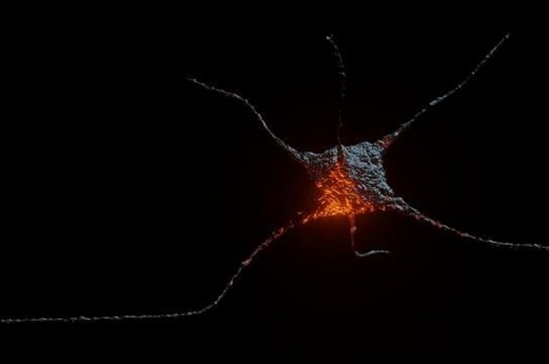 神经元以红色耀斑提取暗背景