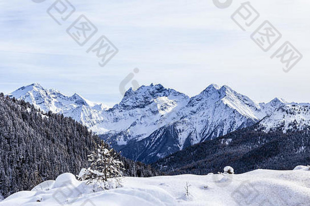 木完整的雪意大利阿尔卑斯山脉