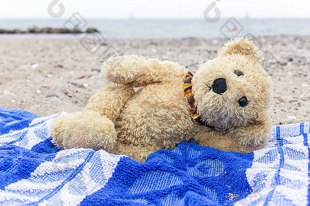 泰迪熊谎言海滩毛巾波罗的海海滩