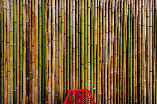 干竹子树栅栏墙背景原始自然模式纹理
