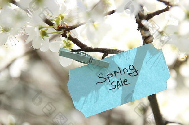 春天的销售理念，标签和白色的花朵在春天阳光明媚的日子