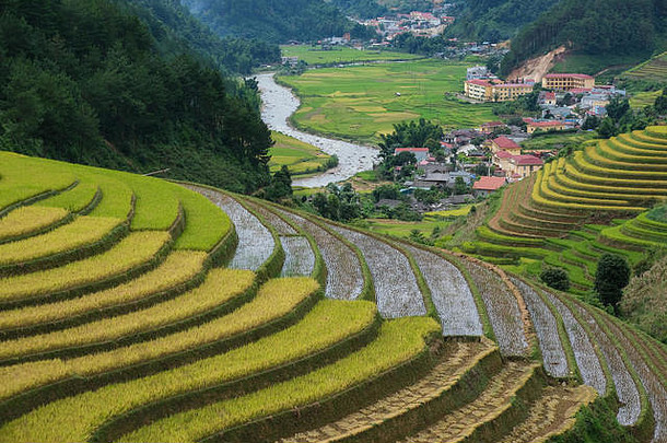 越南景观鸟瞰图。越南乡村的黄色稻田。皇室高品质免费照片图像拍摄的<strong>黄米</strong>f