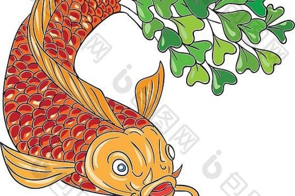 在孤立的白色背景上，从正面拍摄一条带微绿色尾巴的鳟鱼的素描式插图。
