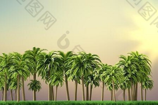 棕榈树、美丽的热带背景、复古过滤器、3d渲染