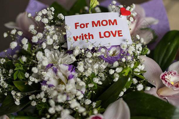 母亲节的概念。有彩色花朵的明信片。母亲节快乐，贺卡，一束束鲜花和兰花。喜庆花构图