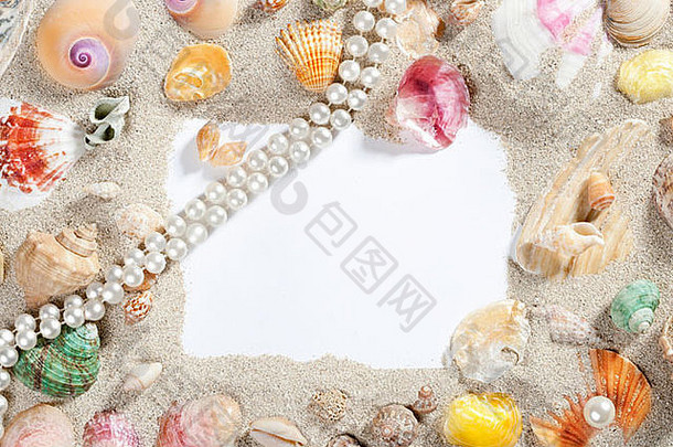 框架作文海滩沙子海滩空白纸珍珠贝壳