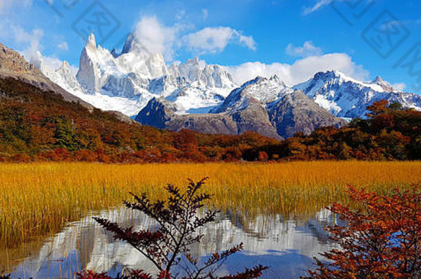 阿根廷埃尔查尔顿的菲茨罗伊山秋色树木景观