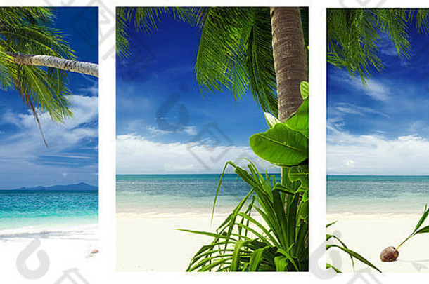 三幅热带海滩和棕榈主题图片拼贴