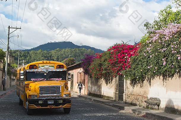 联合国教科文组织危地马拉安提瓜岛布干维尔林荫大道上的小鸡巴士